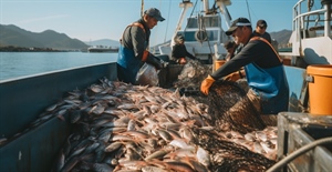 Pesca, Fedagripesca: «Bene il rinvio dell’obbligo...
